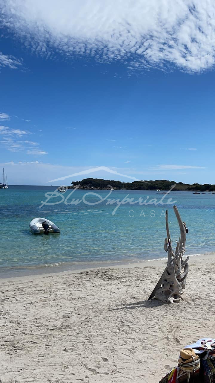 Vue depuis la plage avec un bateau