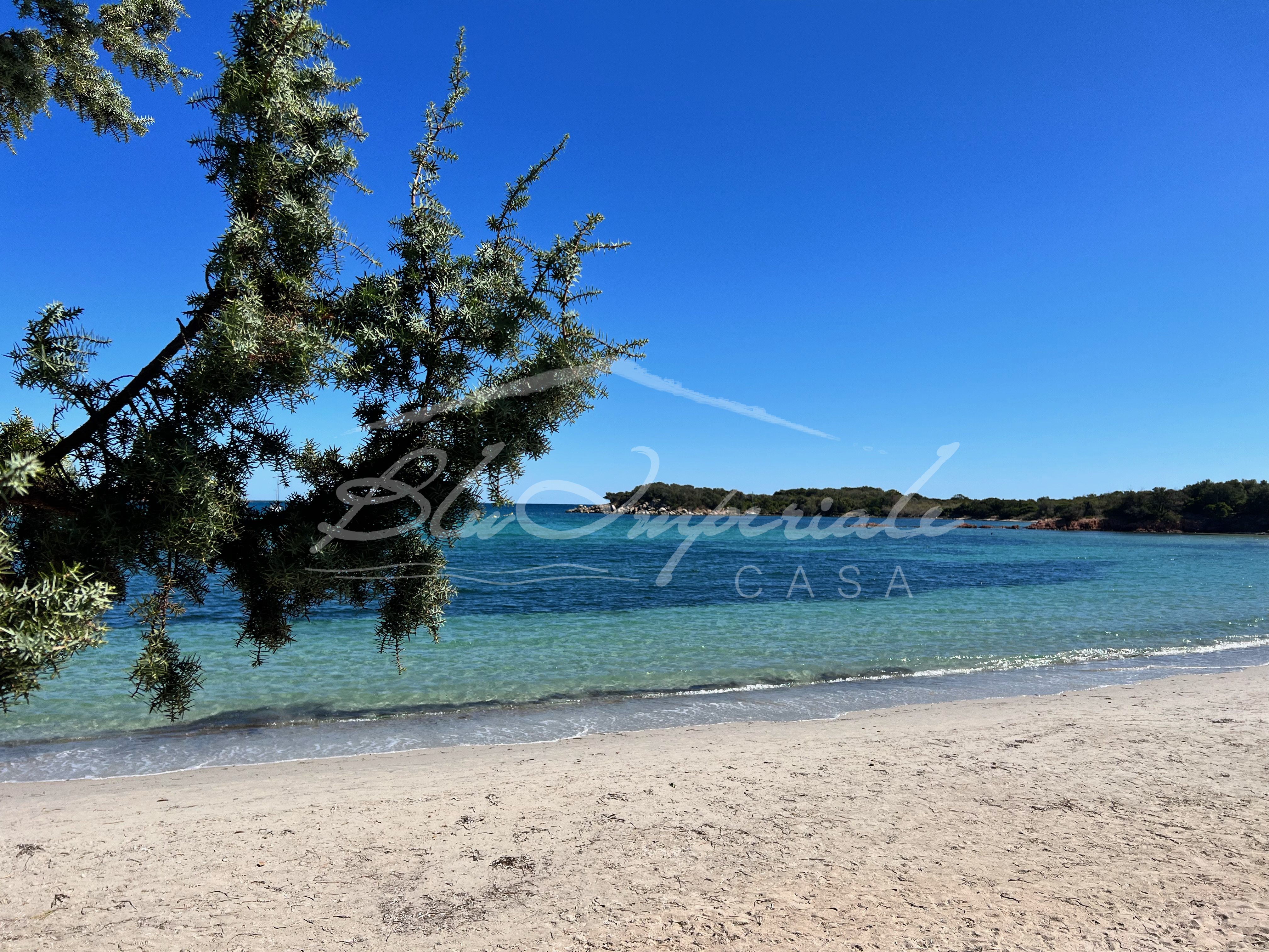 Vue depuis la plage